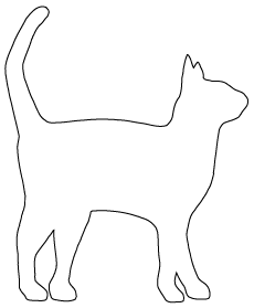 Shape Cat