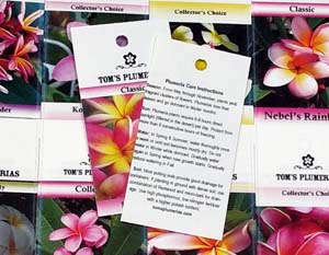 #102291 MATTE POLYOLEFIN TAG