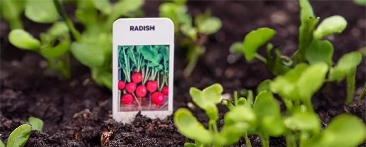 5 Plant Tag Examples with Designs for Specific Plants